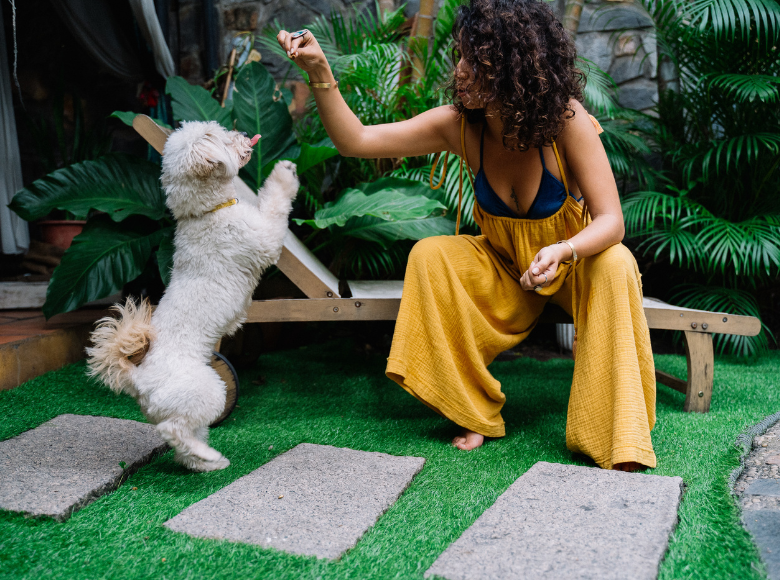 Plants & Pets