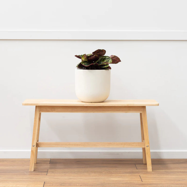 Atlas Egg Planter White 240mm - Gro Urban Oasis