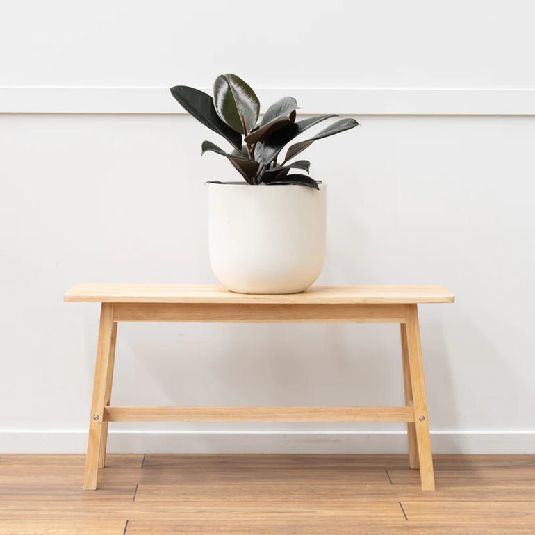 Atlas Egg Planter White 280mm - Gro Urban Oasis