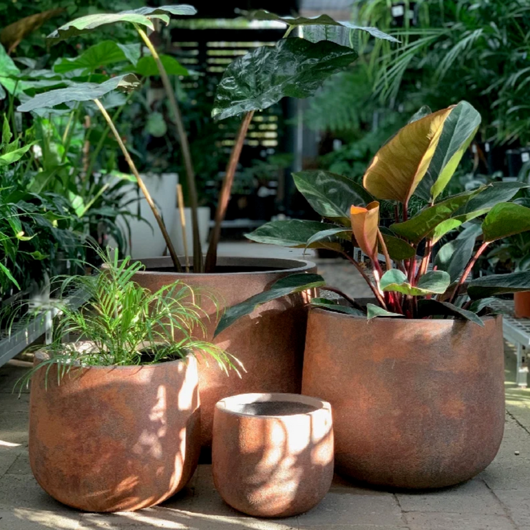 Odyssey Drum Planter Light Terracotta 240mm - Gro Urban Oasis