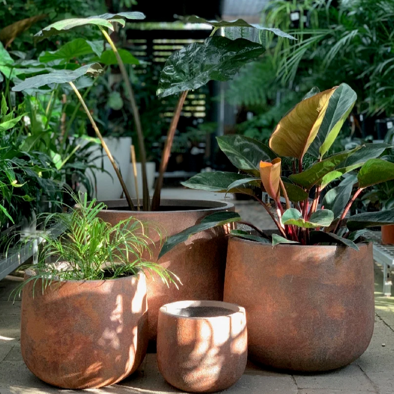 Odyssey Drum Planter Light Terracotta 550mm - Gro Urban Oasis