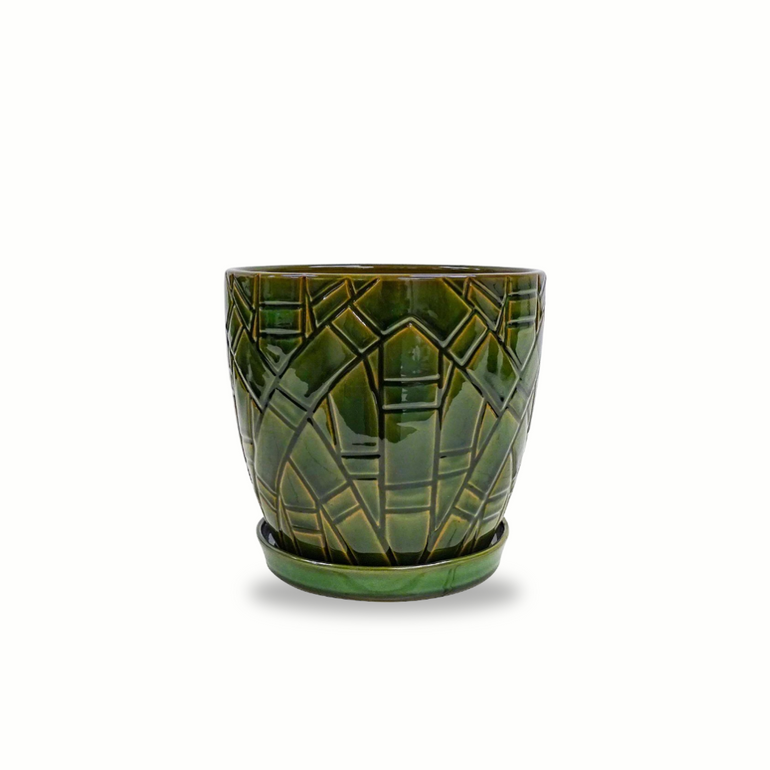 Peyton Pot | Green | 200mm - Gro Urban Oasis