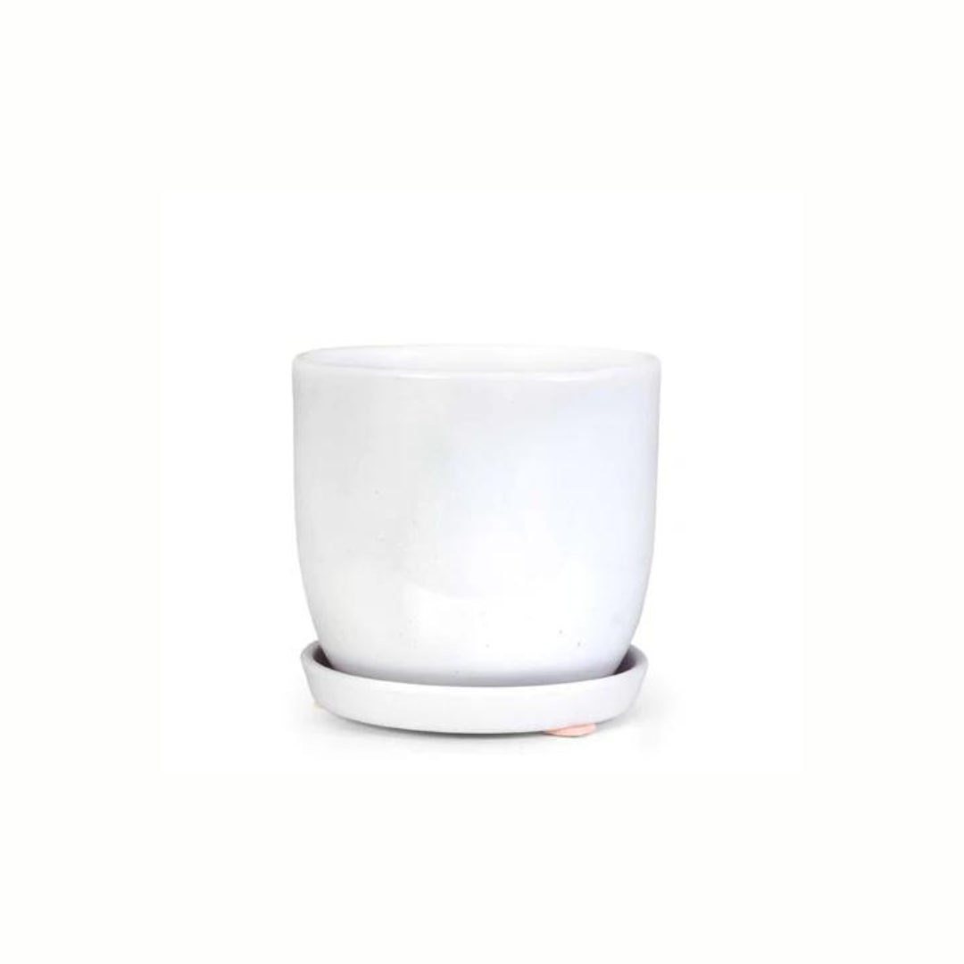 Jessa Egg Pot Gloss White 140mm - Gro Urban Oasis