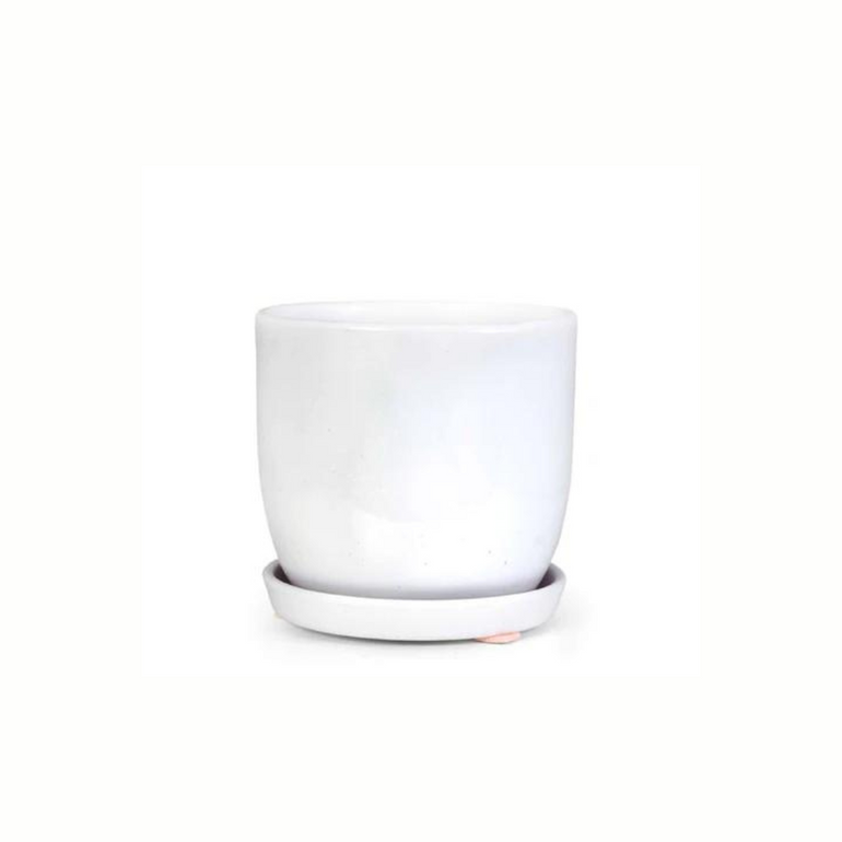 Jessa Egg Pot Gloss White 140mm - Gro Urban Oasis