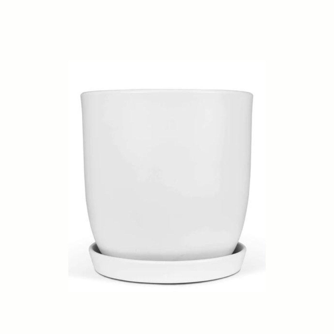 Jessa Egg Pot Matte White 250mm - Gro Urban Oasis