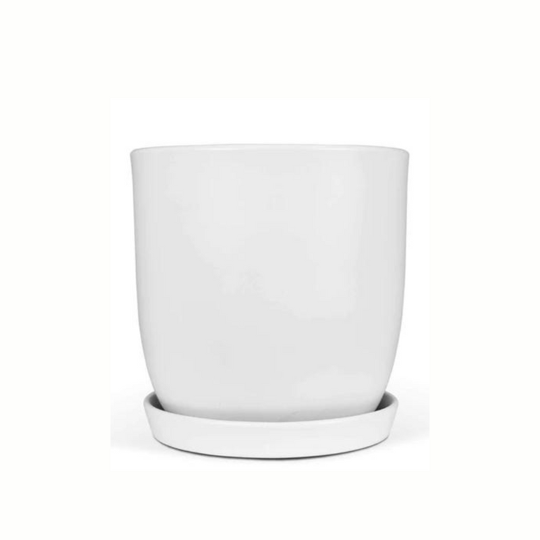 Jessa Egg Pot Matte White 250mm - Gro Urban Oasis