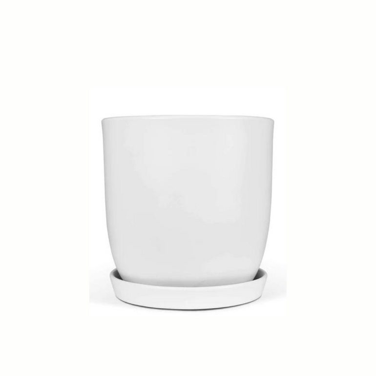 Jessa Egg Pot Matte White 170mm - Gro Urban Oasis
