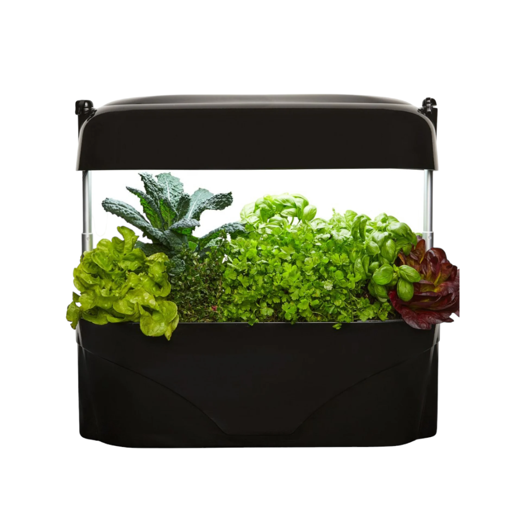 Aerogarden uv online light