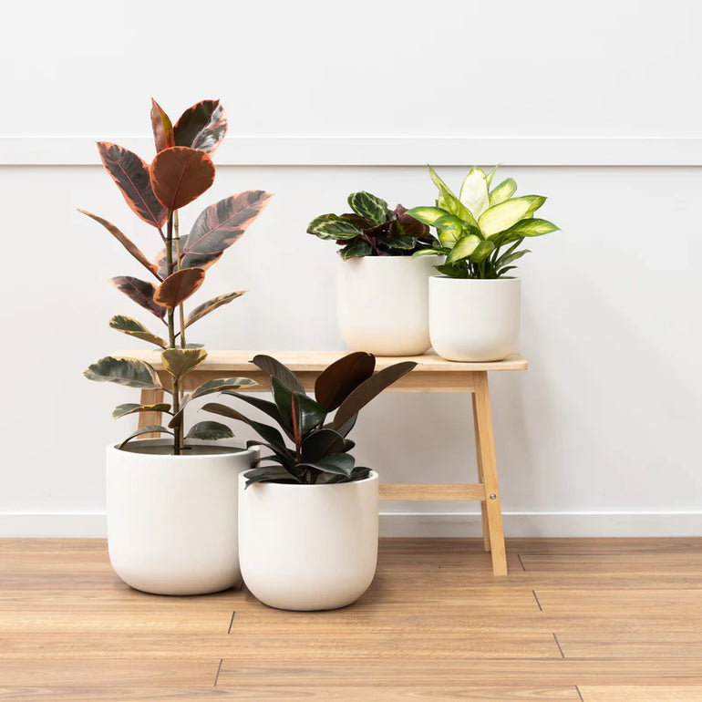 Atlas Egg Planter White 280mm - Gro Urban Oasis
