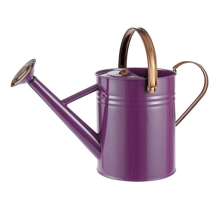 Metal Watering Can - 4.5L - Gro Urban Oasis