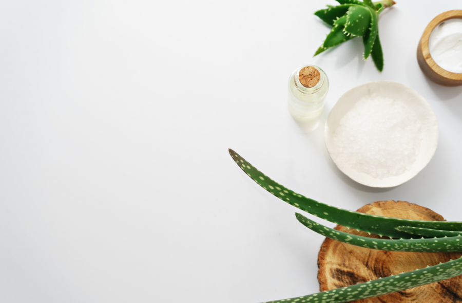 Plants and Herbs for your wellbeing