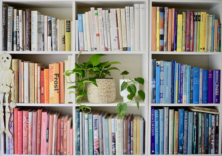 Top 5 plant styling tips to try at home with plants