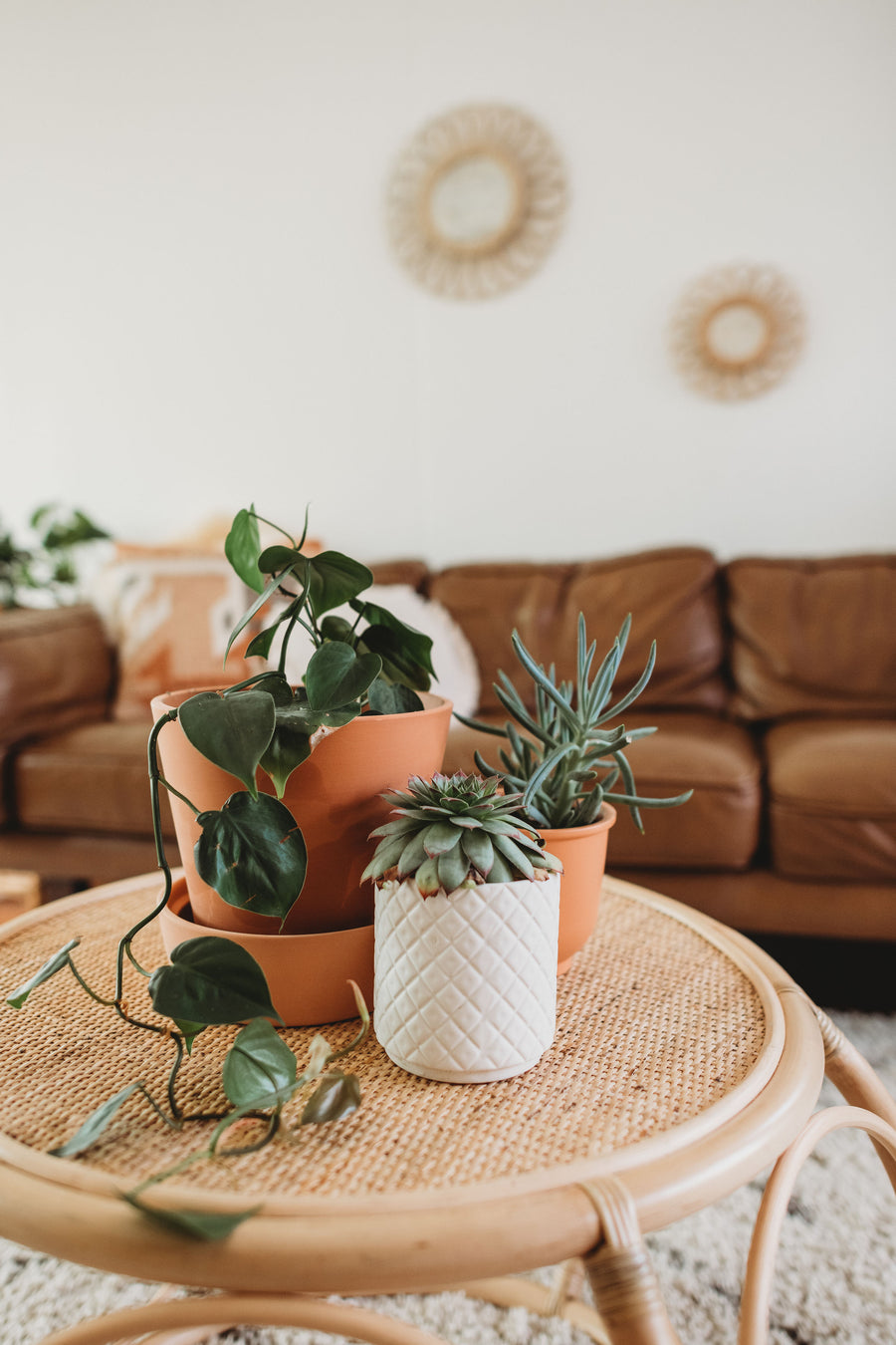 Container Gardening