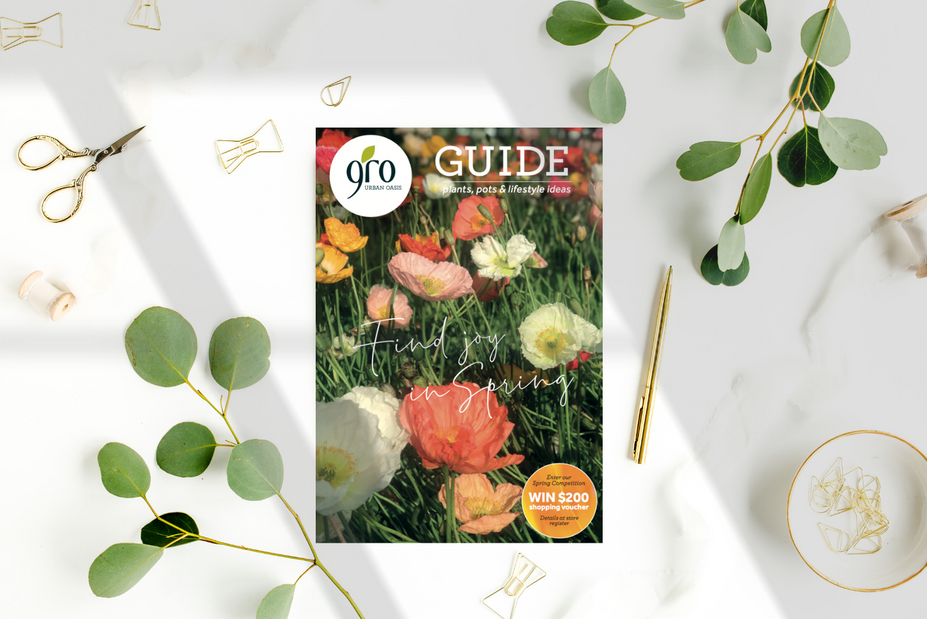 GRO Spring 2020 Magazine - Find Joy in Spring