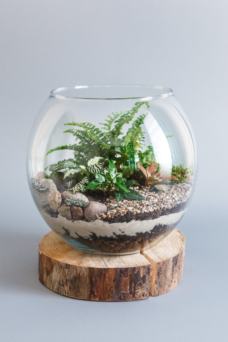 Terrariums