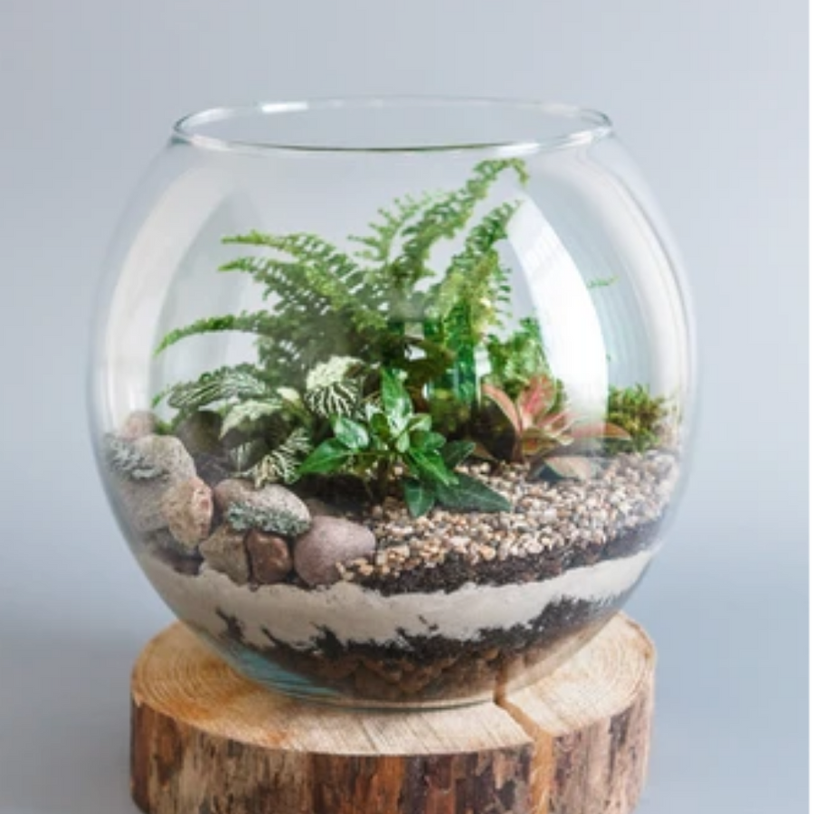 Terrariums