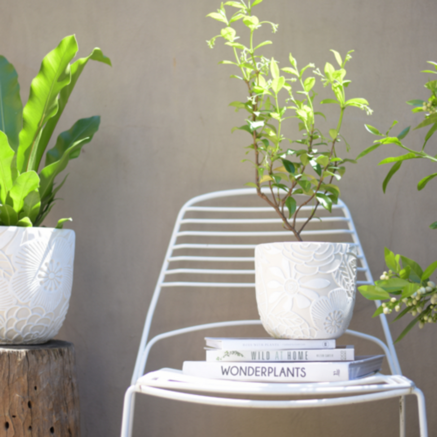 Container gardening