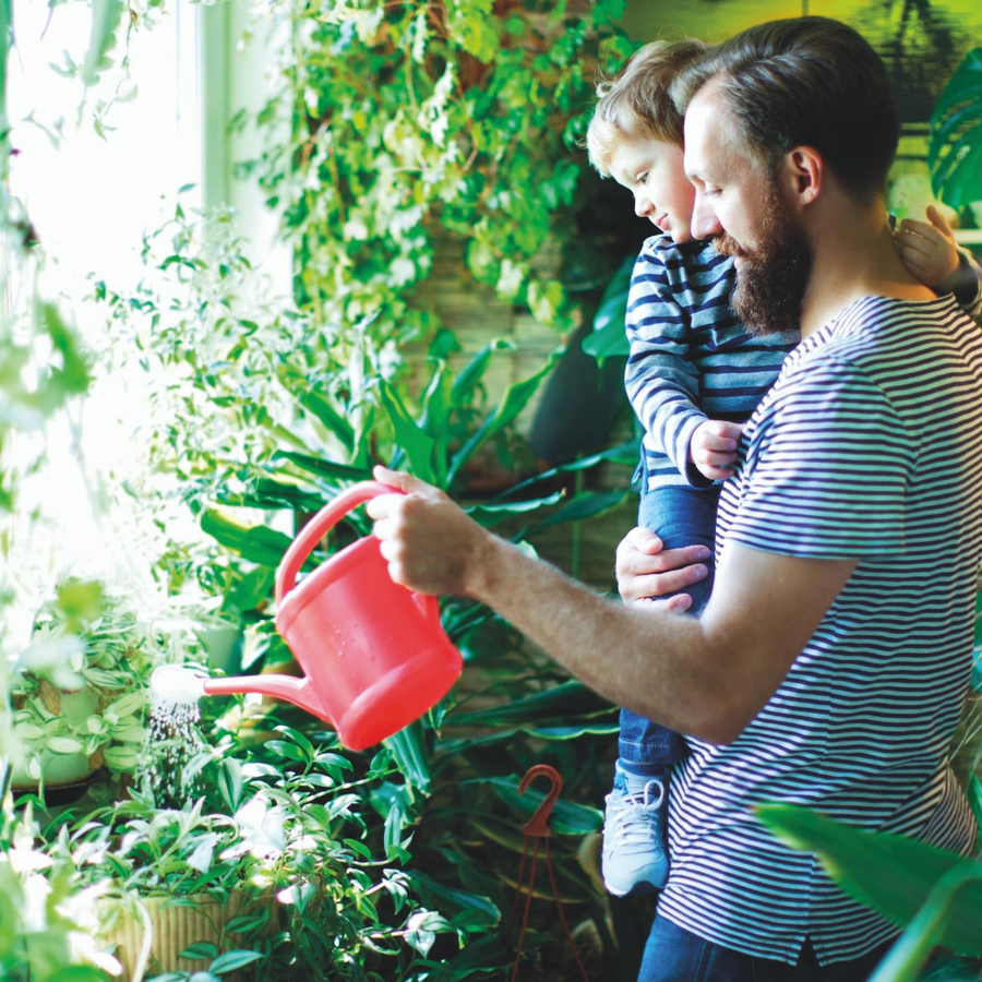 Green Clean – Detox your garden  
