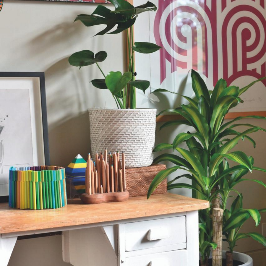 Zoom in the home office