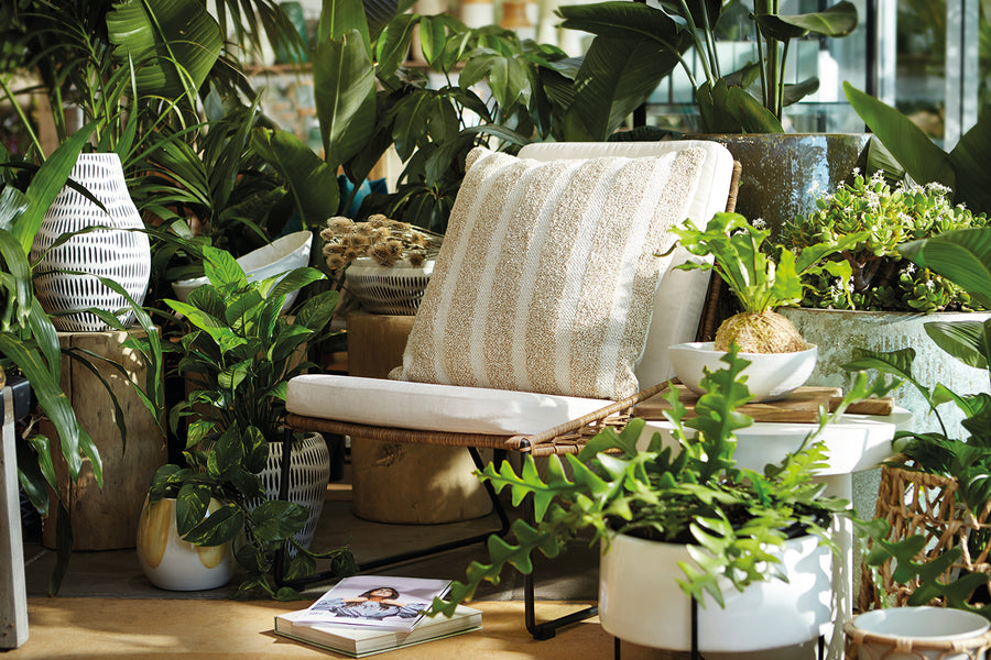 How to create a self-care oasis in your home using plants