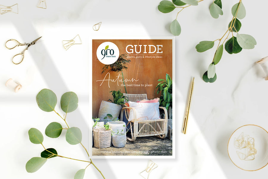 GRO Autumn 2021 Magazine - The Best Time To Plant