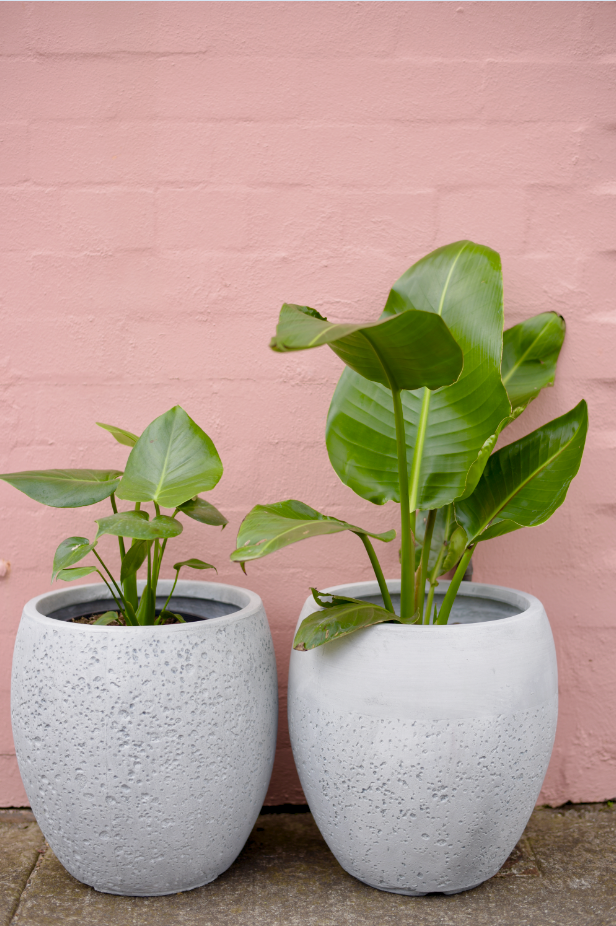 New Light Weight Pots