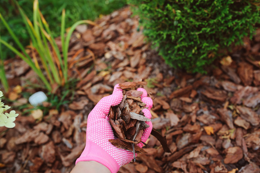 Mulch Uncovered