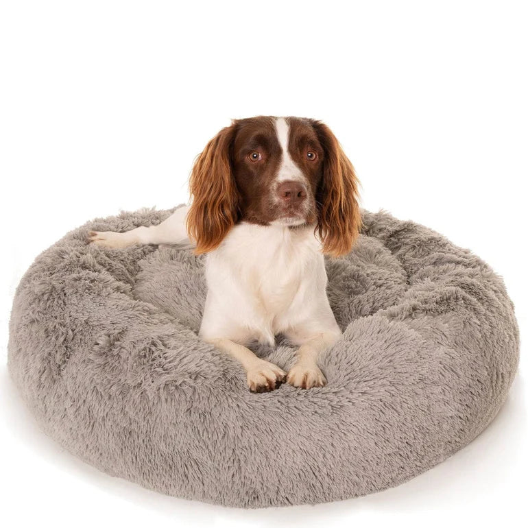 Gro Bedding Pet Bedding & Accessories for Everyday Comfort