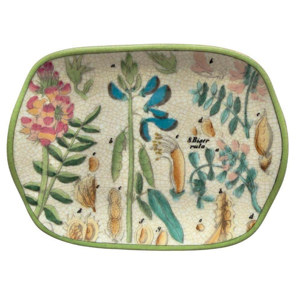 C.A.M Archivo Savon Dish - Botanica
