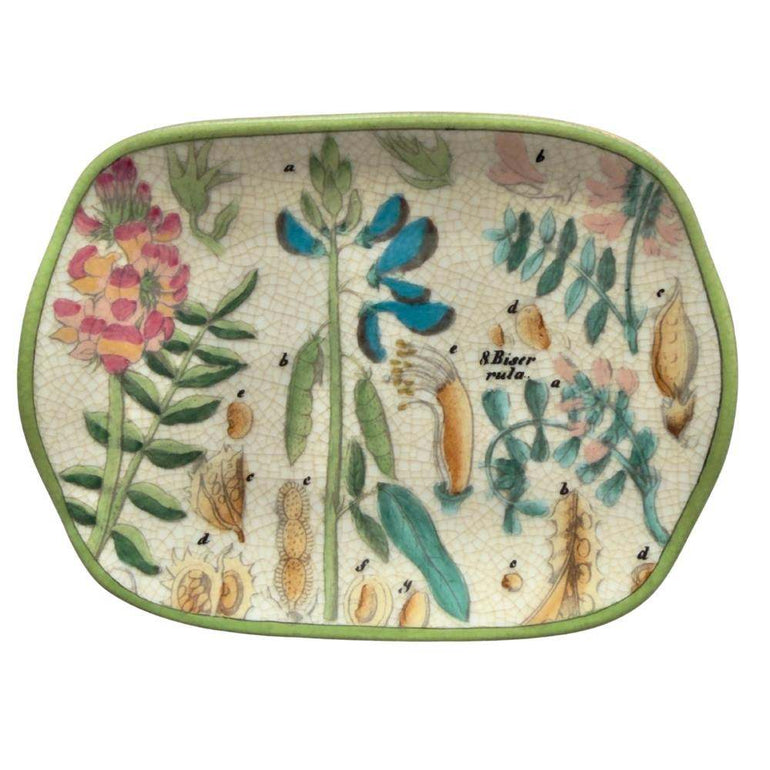 C.A.M Archivo Savon Dish - Botanica