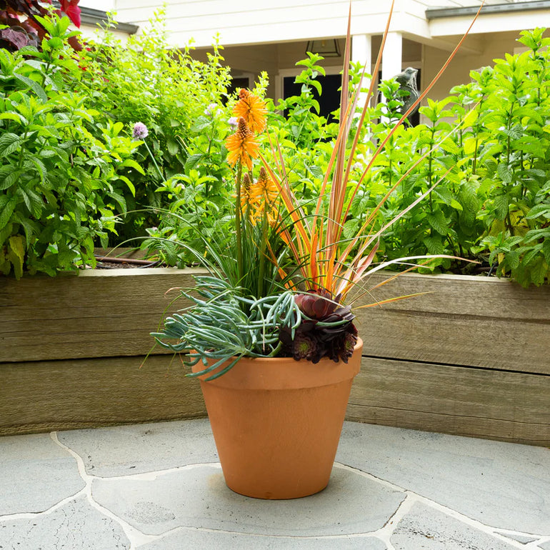 Italian Plain Garden Pot 120mm - Gro Urban Oasis