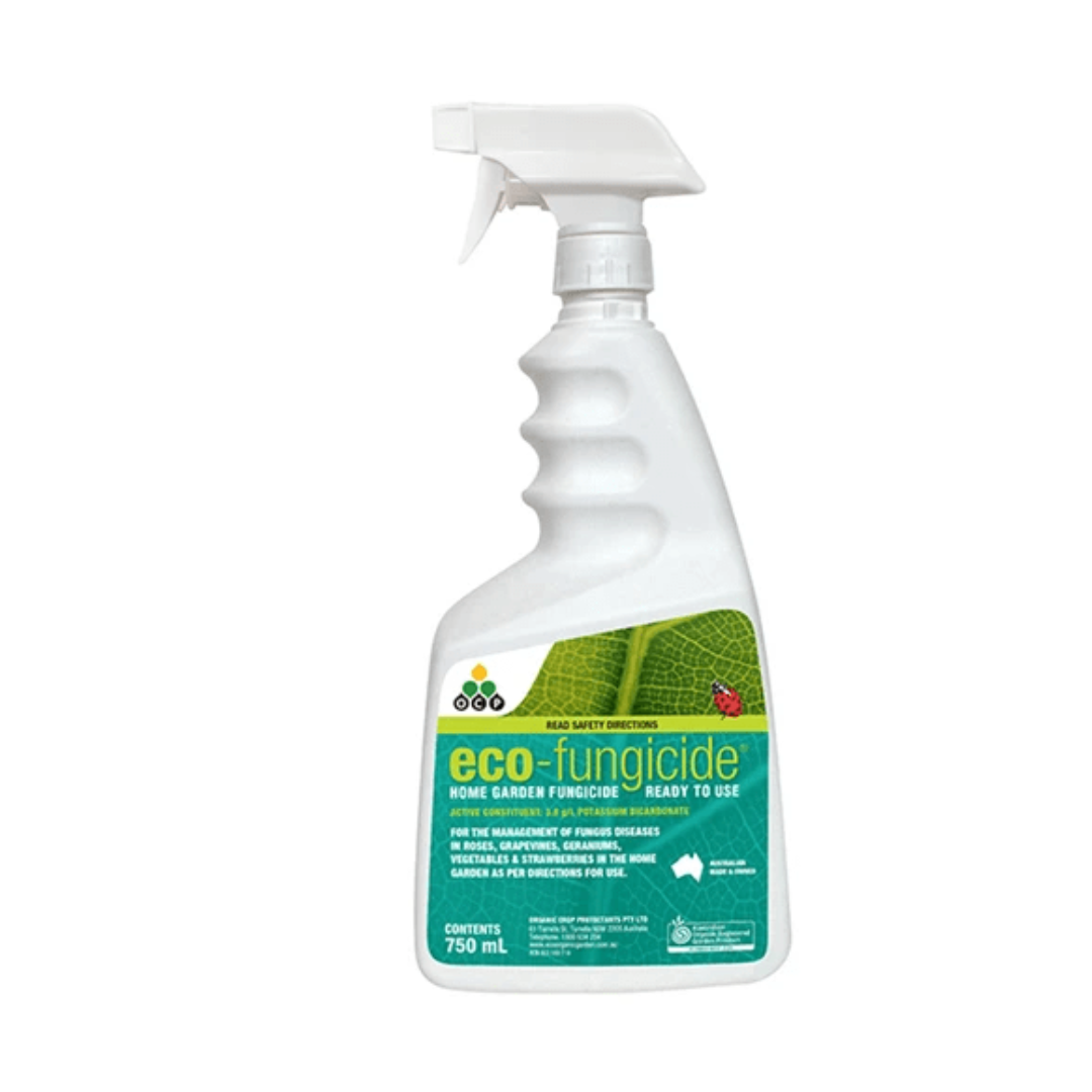 Ocp Eco Fungicide 750Ml - Gro Urban Oasis