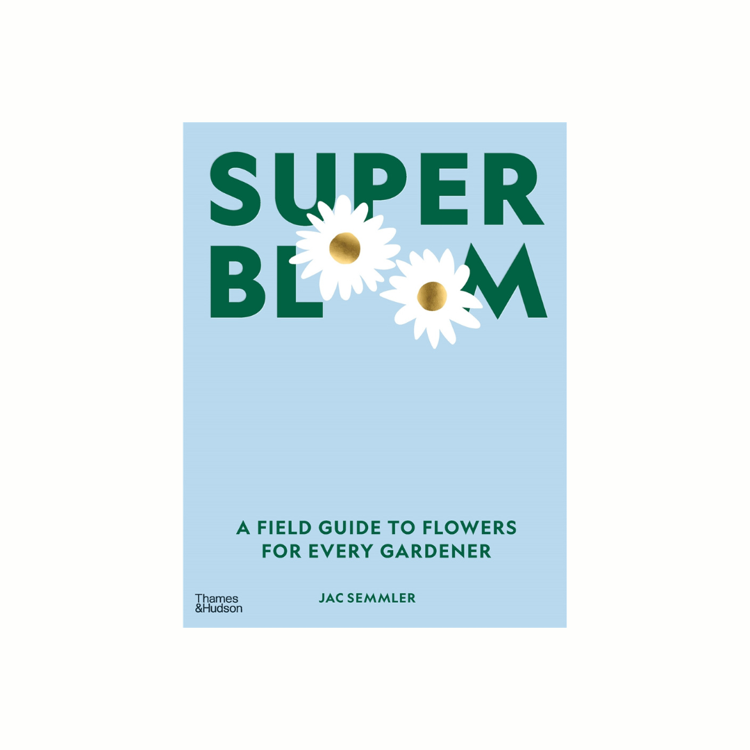 Super Bloom - Gro Urban Oasis
