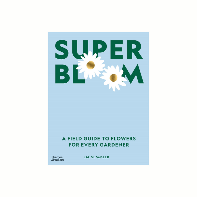 Super Bloom - Gro Urban Oasis