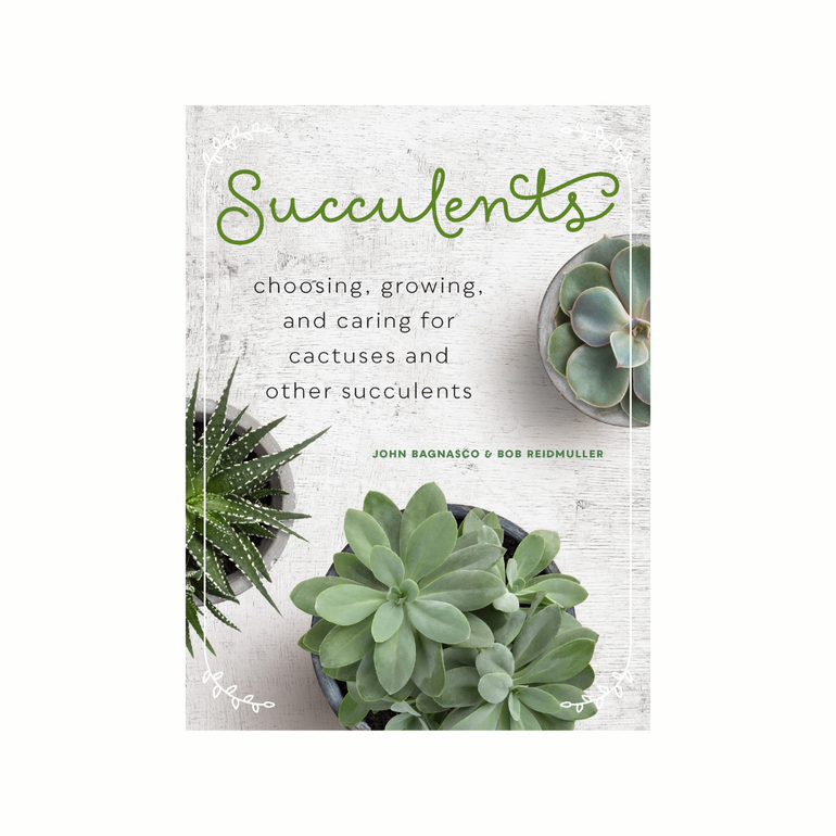 Succulents - Gro Urban Oasis