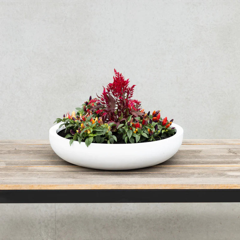 Saxon Low Bowl White 540mm - Gro Urban Oasis