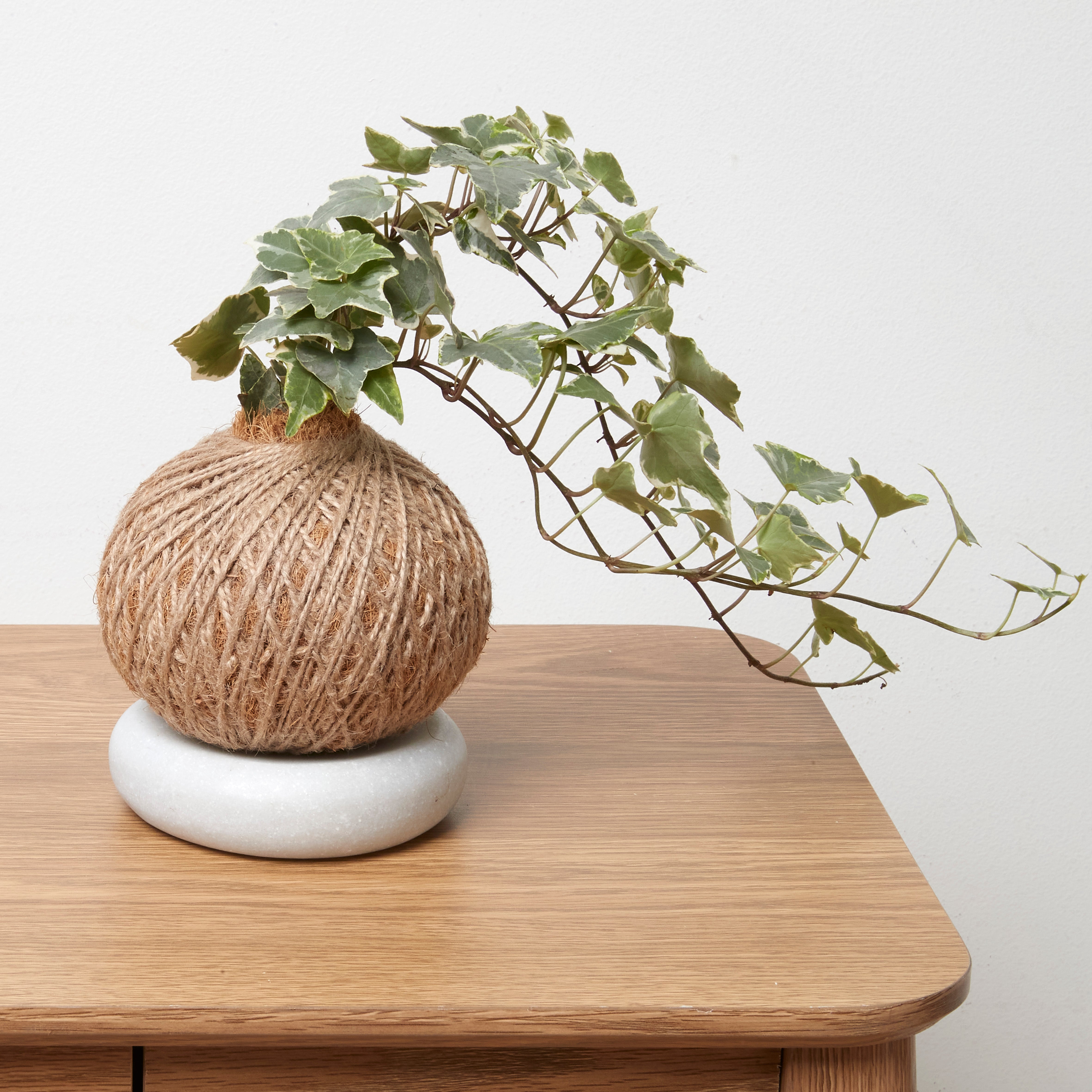 Urban Oasis Green Marble Coaster - Gro Urban Oasis