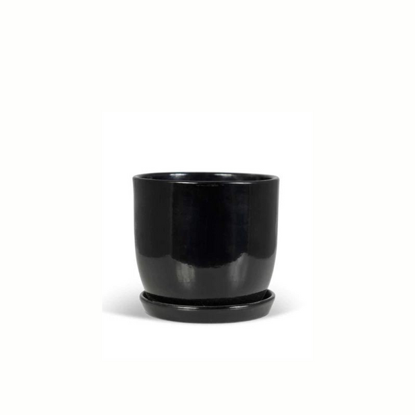 Jessa Egg Pot Gloss Black 140mm - Gro Urban Oasis