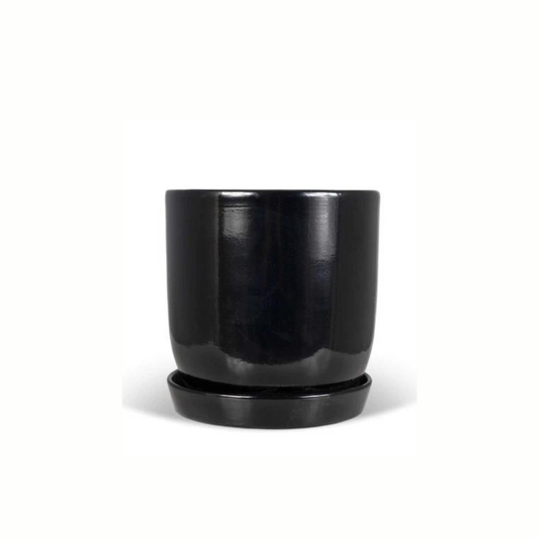 Jessa Egg Pot Gloss Black 170mm - Gro Urban Oasis