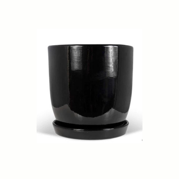 Jessa Egg Pot Gloss Black 250mm - Gro Urban Oasis