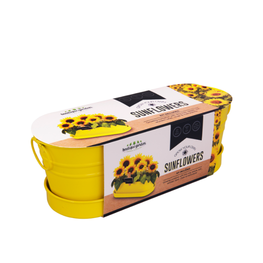 Mr Fothergills Colored Windowsill Tins Sunflower - Gro Urban Oasis