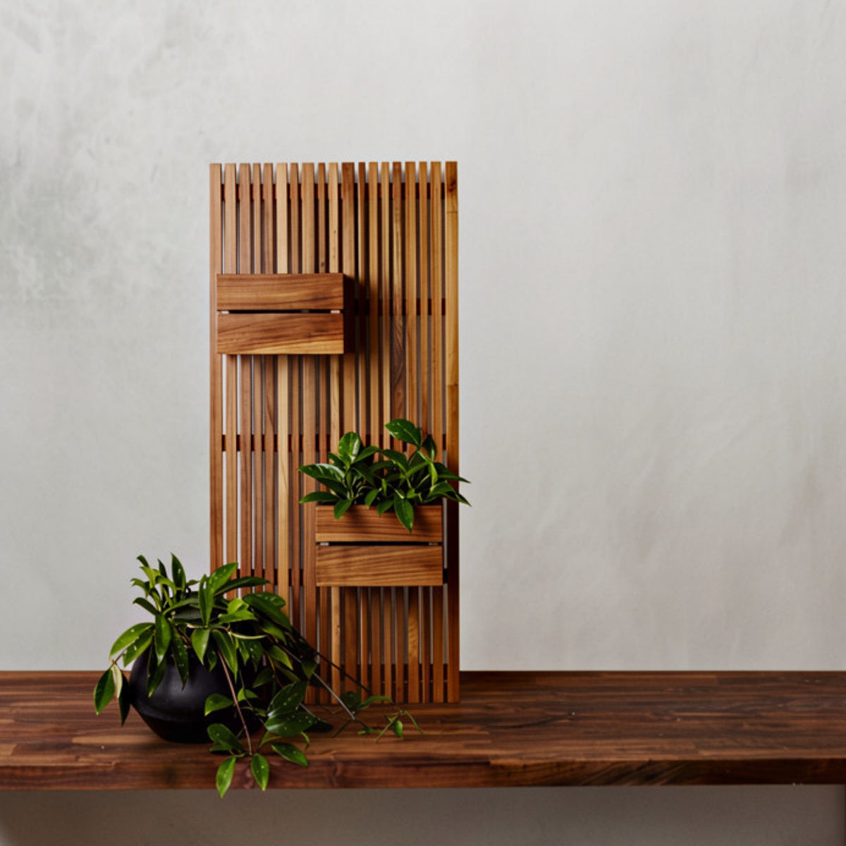 Eden Slat Panel Teak Wood Wide - Medium
