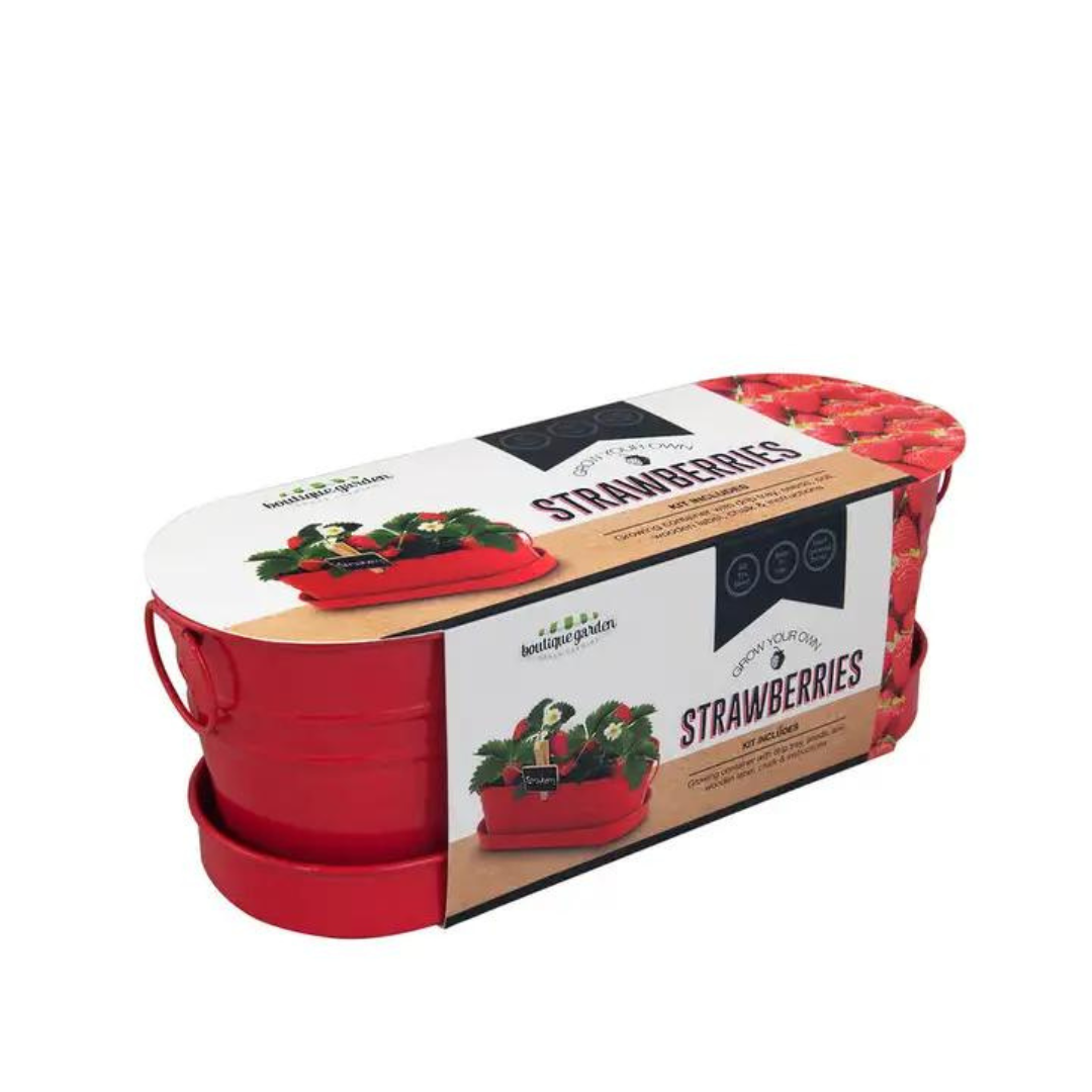 Mr Fothergills Colored Windowsill Tins Strawberry - Gro Urban Oasis