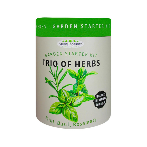Mr Fothergills Garden Starter Canister Kit Succulent Herbs - Gro Urban Oasis