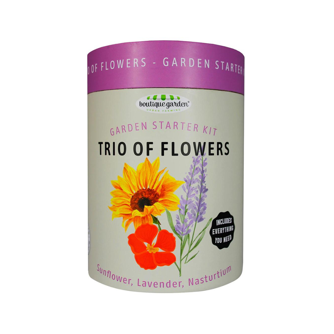 Mr Fothergills Garden Starter Canister Kit Vibrant Flowers - Gro Urban Oasis