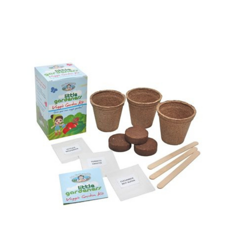 Mr Fothergills Veggie Garden Kit Cube - Gro Urban Oasis