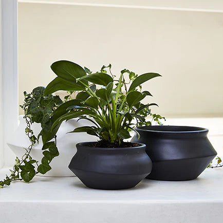 Urban Oasis Naya Pot Matte Black Medium