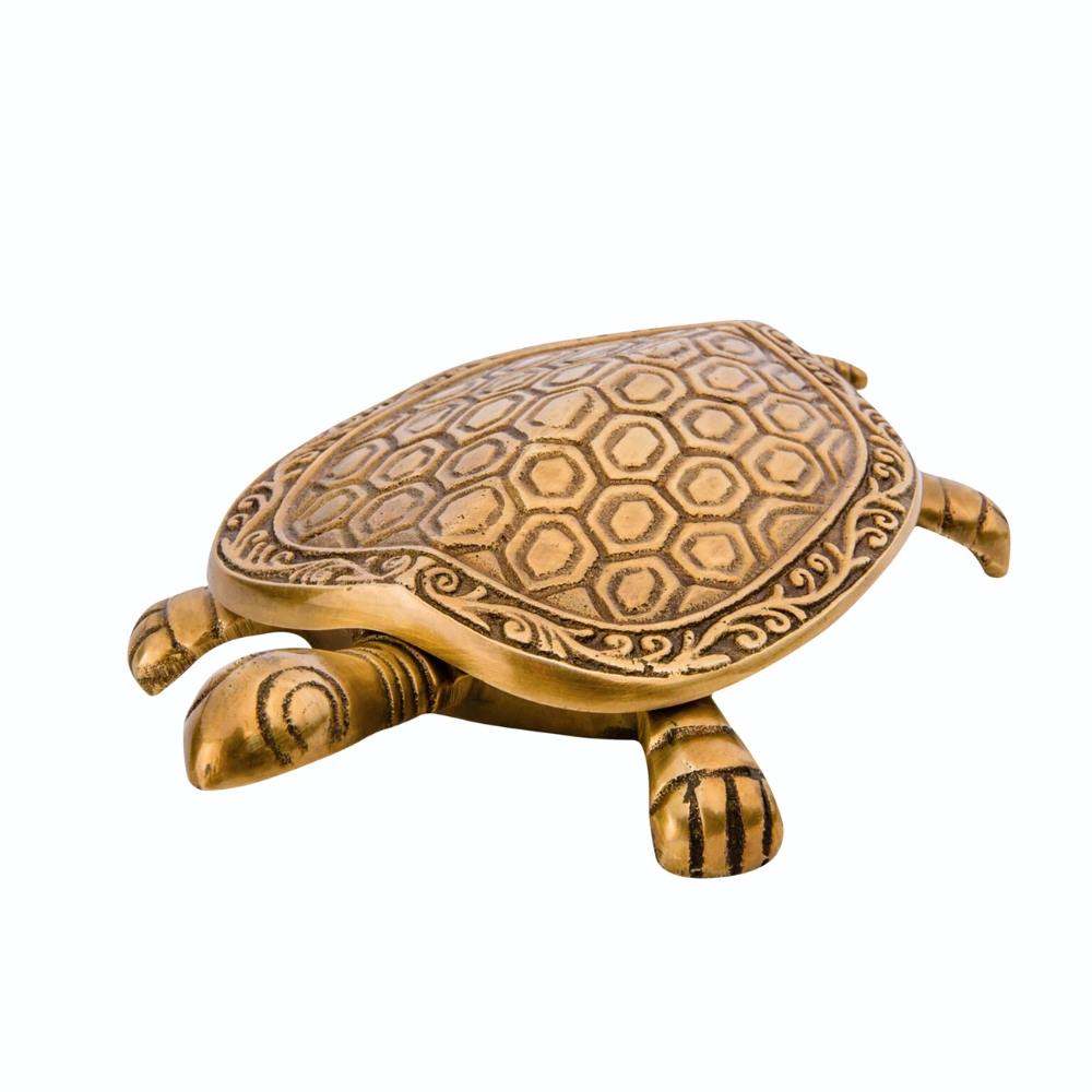 C.A.M Exotico Tortuga Brass Trinket Box — brass decorative box for small keepsakes