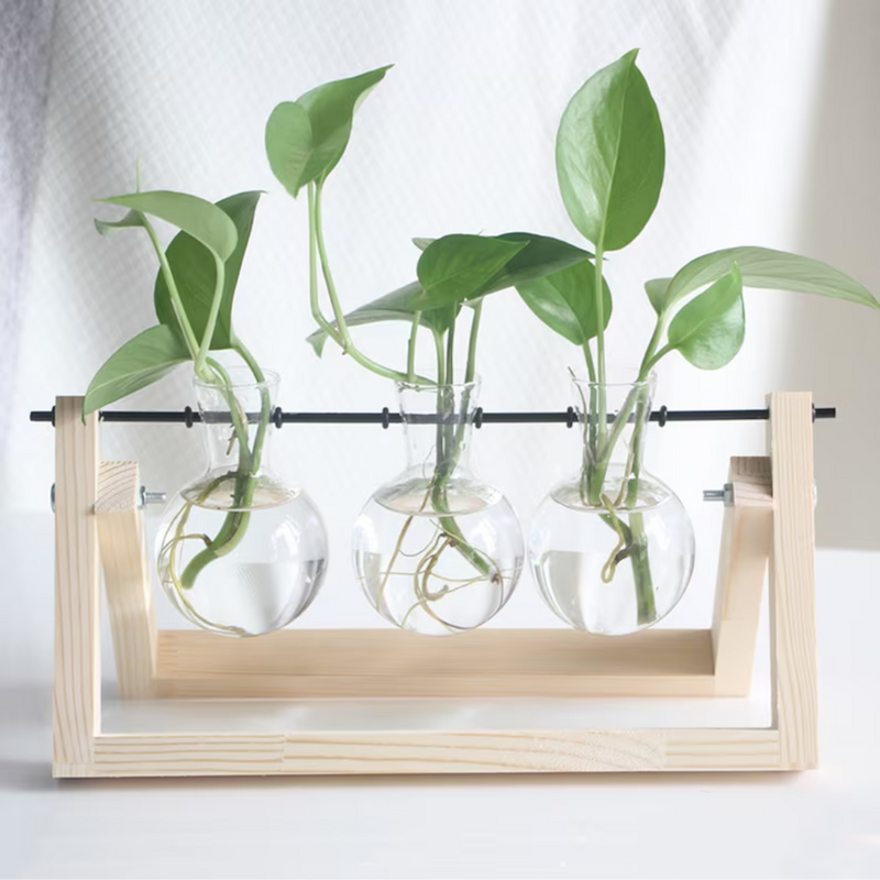 Glass Propagation Station Triple Bulb Vase Set by Gro Urban Oasis