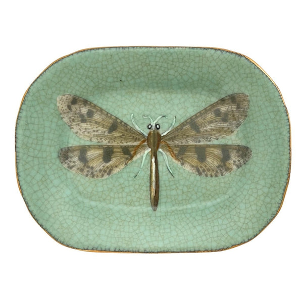 C.A.M Libelula Savon Dish - Gro Urban Oasis